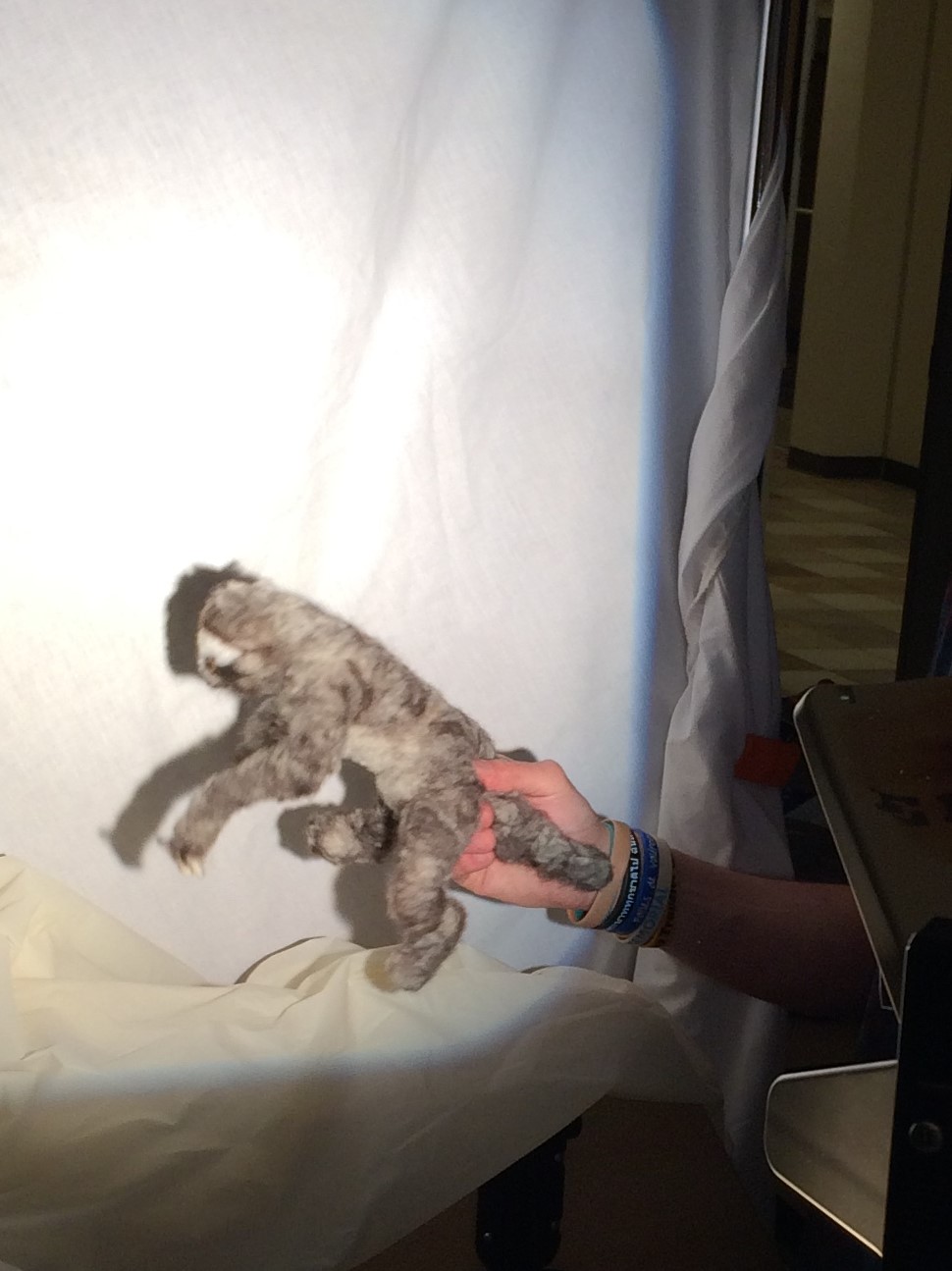 Shadow Puppet Sloth Shadow Puppets – Sandra Staples-Jetko